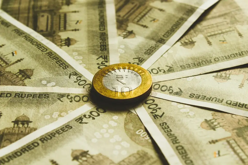 勞退基金提撥：認識保障退休生活的關鍵